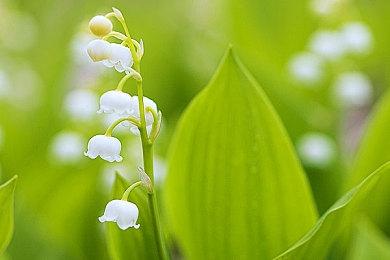 经典FPS《无人永生》开发者坦承 当年移植PS2主机版太失败